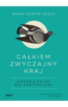 Całkiem zwyczajny kraj. Historia Polski bez martyrologii 