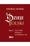 Dzieje Polski. Tom 3. 1340-1468 Królestwo zwycięstwa orła 