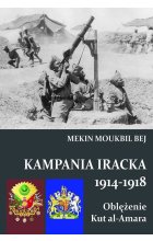 Kampania Iracka 1914-1918