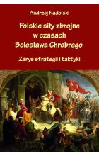 Polskie siły zbrojne w czasach Bolesława Chrobrego. Zarys strategii i taktyki 