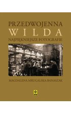 Przedwojenna Wilda Najpiękniejsze fotografie
