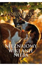 Nieznajomy w Klanie Nieba