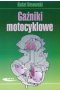 Gaźniki motocyklowe