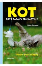 Kot Gry i zabawy edukacyjne