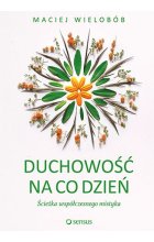 Duchowość na co dzień. Ścieżka współczesnego mistyka 