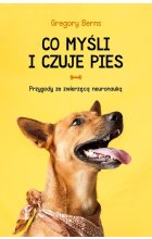 Co myśli i czuje pies