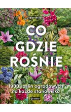Co gdzie rośnie. 1900 roślin ogrodowych na każde stanowisko 