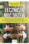 Lecznicza moc drzew. Wykorzystaj uzdrawiające kąpiele leśne, dzięki którym zrelaksujesz się, wzmocnisz odporność i pozbędziesz się negatywnych emocji 