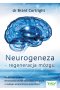 Neurogeneza - regeneracja mózgu wyd. 2022 