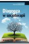 Diagnoza w socjoterapii