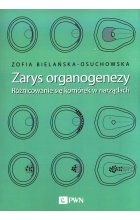 Zarys organogenezy