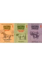 Anatomia zwierząt Tom 1-3