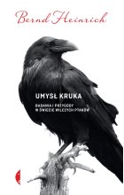 Umysł kruka badania i przygody w świecie wilczych ptaków 