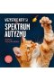 Wszystkie koty są w spektrum autyzmu