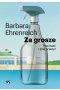Za grosze. Pracować i (nie)przeżyć 