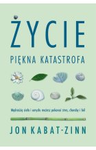 Życie piękna katastrofa