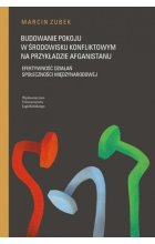 Budowanie pokoju w środowisku konfliktowym na przykładzie Afganistanu
