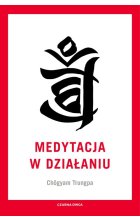Medytacja w działaniu