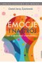 Emocje i nastrój jak je zrozumieć i kształtować 