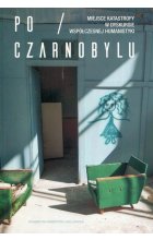 Po Czarnobylu Miejsce katastrofy w dyskursie współczesnej humanistyki