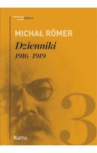 Dzienniki 1916-1919 Tom 3 