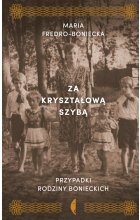 Za kryształową szybą przypadki rodziny bonieckich 