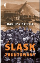 Śląsk zbuntowany 