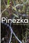 Pinezka
