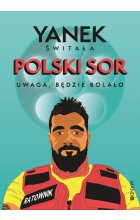 Polski SOR 