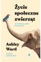 Życie społeczne zwierząt. Jak współpracą podbito świat przyrody 