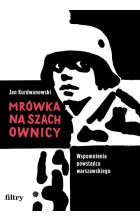 Mrówka na szachownicy