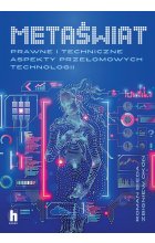 Metaświat. Prawne i techniczne aspekty przełomowych technologii 