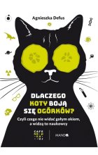 Dlaczego koty boją się ogórków?