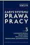 Zarys systemu prawa pracy Tom 3