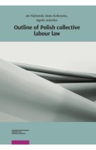 Outline of Polish collective labour law