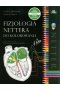 Fizjologia Nettera do kolorowania