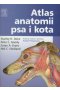 Atlas anatomii psa i kota