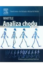 Whittle Analiza chodu