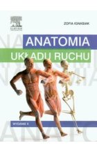 Anatomia układu ruchu