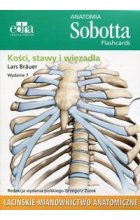 Anatomia Sobotta Flashcards Kości stawy i więzadła Edra Urban