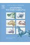 Anatomia weterynaryjna