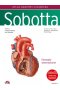 Atlas anatomii człowieka Sobotta. Angielskie mianownictwo. Tom 2. Narządy wewnętrzne klatki piersiow