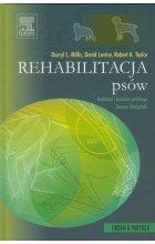 Rehabilitacja psów