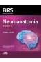 Neuroanatomia BRS
