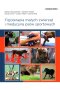 Fizjoterapia małych zwierząt i medycyna psów sportowych