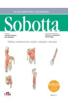 Tablice anatomiczne mięśni, stawów i nerwów. Łacińskie mianownictwo