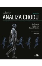 Analiza chodu Whittle