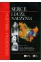 Diagnostyka obrazowa Serce i duże naczynia