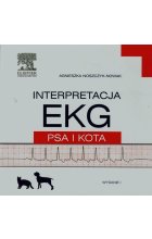 Interpretacja EKG psa i kota