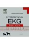 Interpretacja EKG psa i kota